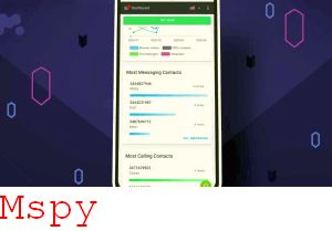 Mspy Google